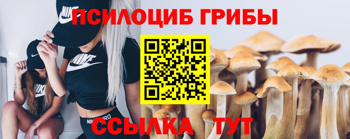 Галлюциногенные грибы Cubensis Вологда